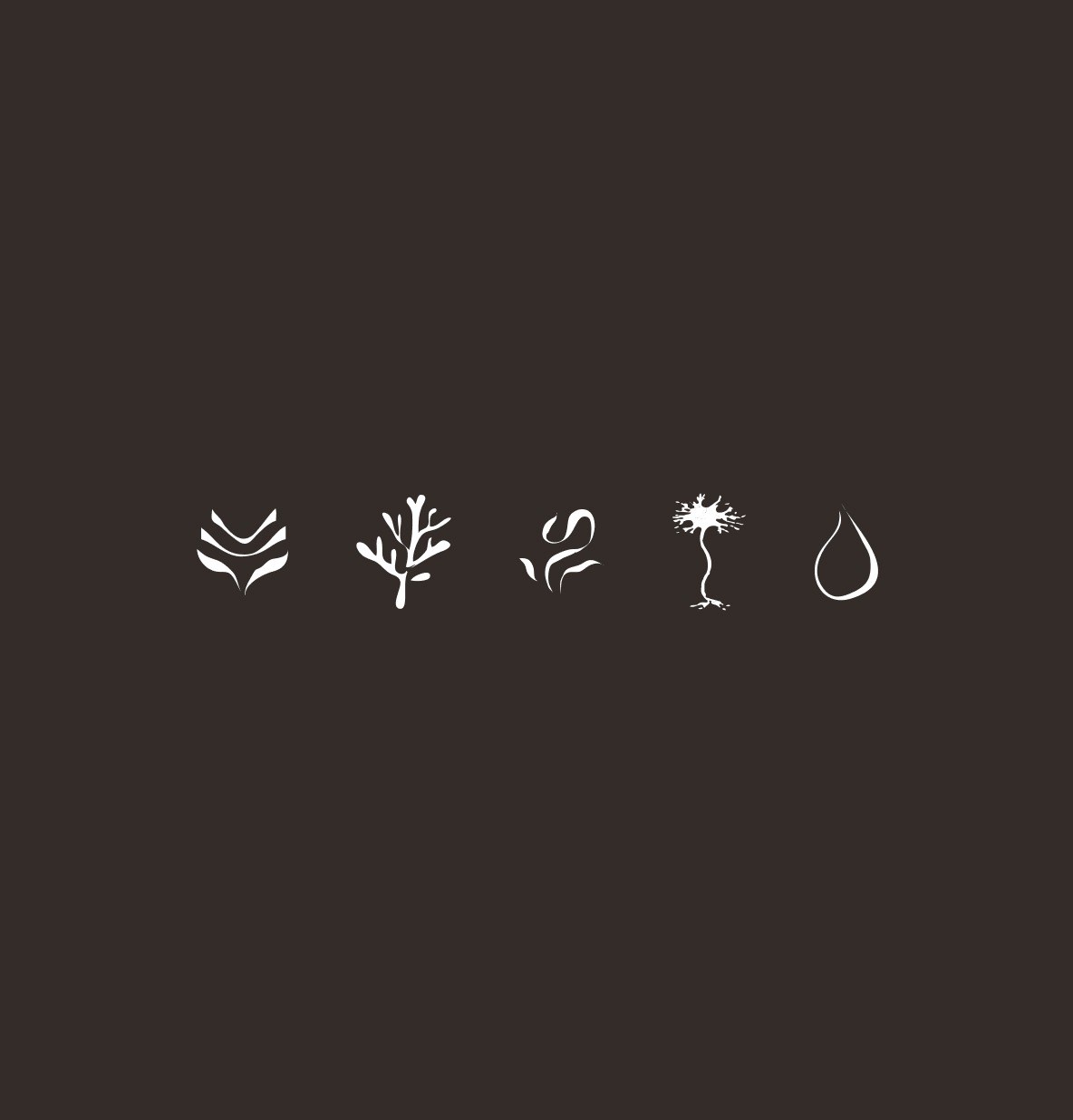 Botanical illustration icon set