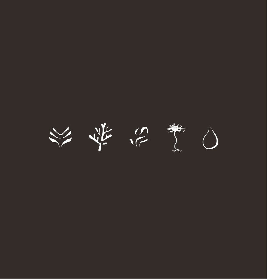 Icons representing packaging, illustration, print and web design services