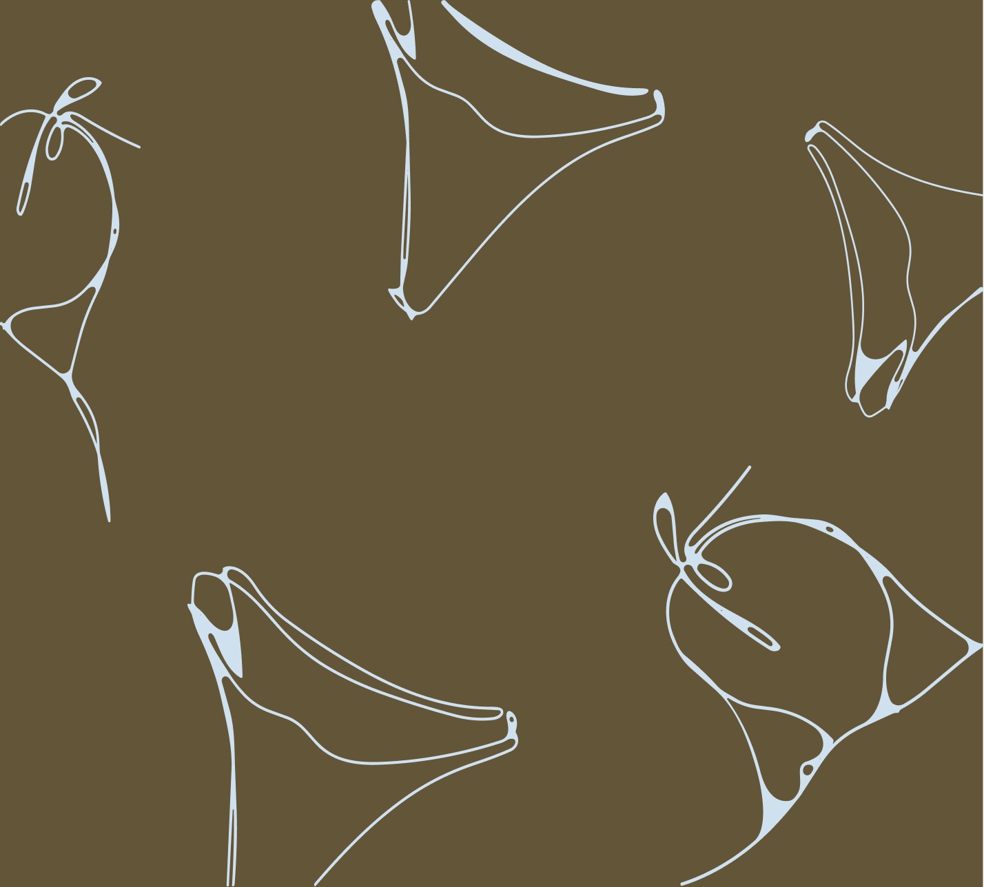 Amour & Mer line-art branding